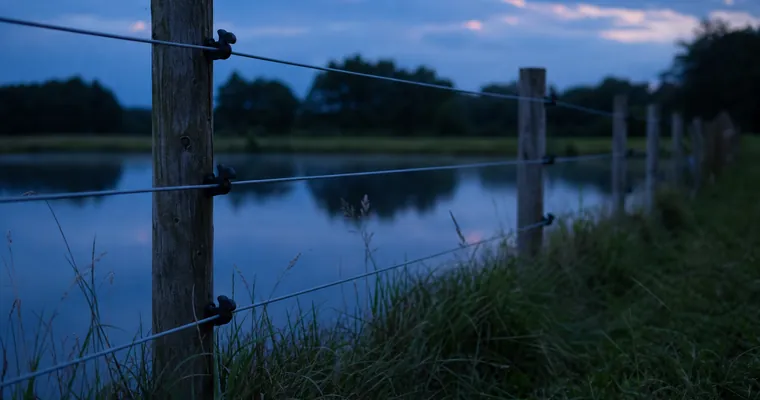 Trzy linie drutu pastucha elektrycznego wzdłuż brzegu stawu